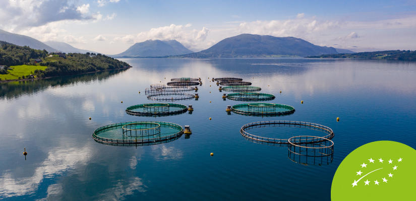 Aquaculture Inputs (Farming Essentials)
